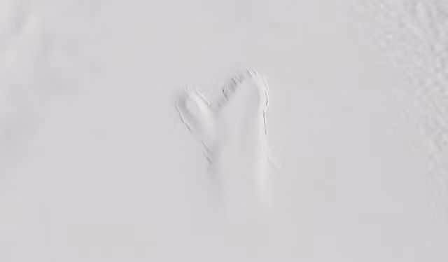 Su that dang so ve 'ban tay ma' khong lo lom vao bang Greenland