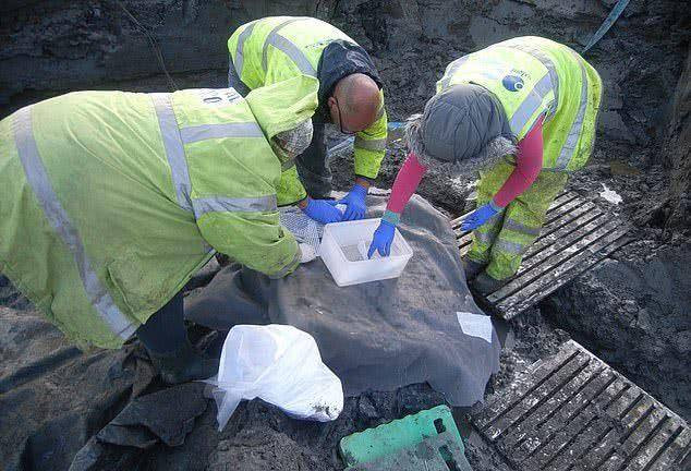 Giỏ trứng 1700 tuổi tiết lộ thông tin quý về thời La Mã cổ - Hình 4 Gio trung 1700 tuoi tiet lo thong tin quy ve thoi La Ma co-Hinh-4