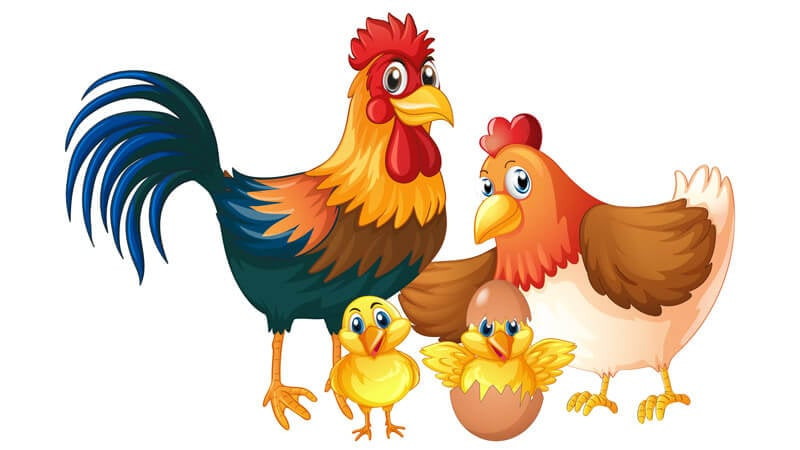 Hãy làm việc chăm chỉ, tuổi Dậu sẽ gặt hái thành công và mọi thứ diễn ra tốt đẹp.