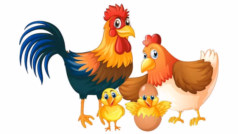 Hãy làm việc chăm chỉ, tuổi Dậu sẽ gặt hái thành công và mọi thứ diễn ra tốt đẹp.