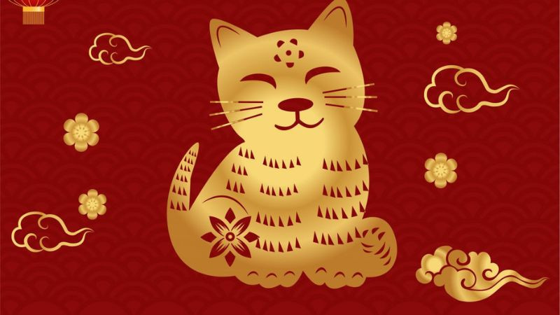 Từ đây đến cuối tháng 11, tuổi Mão sẽ gặp khó khăn trước rồi sẽ đạt được thành công sau. Lúc đầu, tuổi Mão sẽ gặp nhiều cú sốc bất ngờ. 