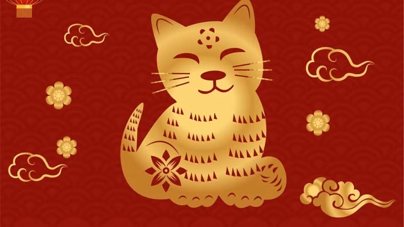 Từ đây đến cuối tháng 11, tuổi Mão sẽ gặp khó khăn trước rồi sẽ đạt được thành công sau. Lúc đầu, tuổi Mão sẽ gặp nhiều cú sốc bất ngờ. 