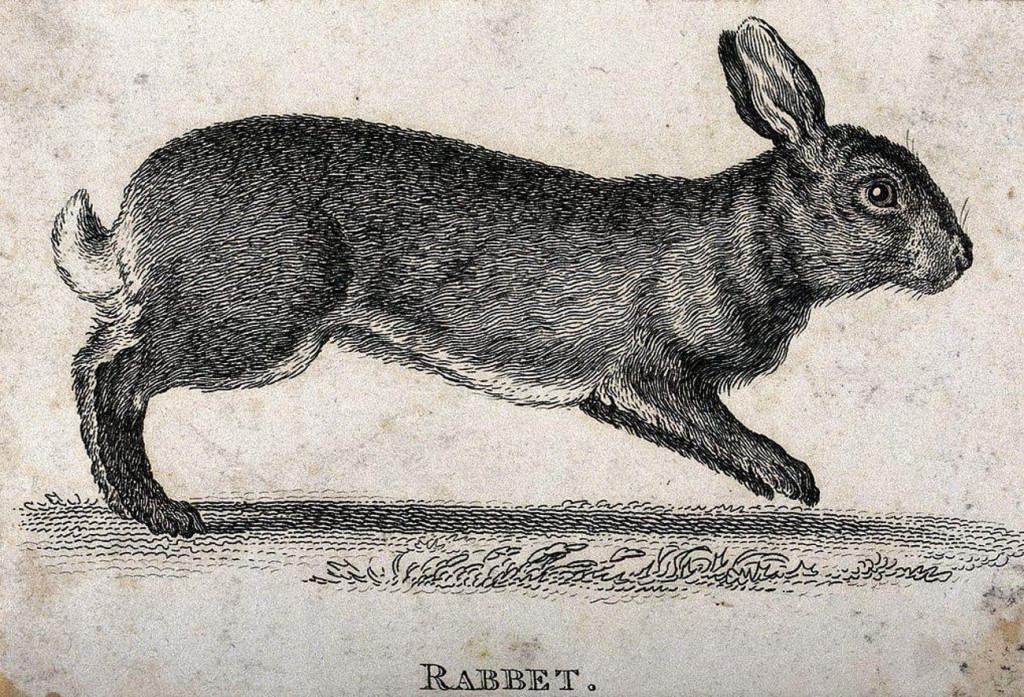 “Can loi” truoc 11 cach thuc nguoi xua dung de... sinh duoc con trai