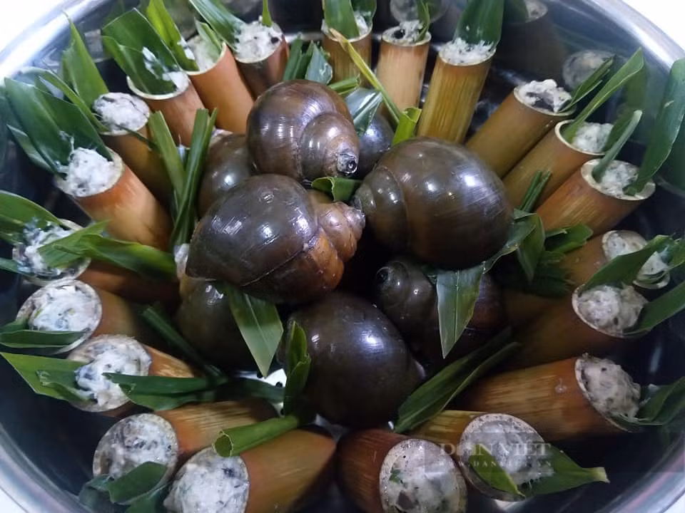 Loai dong vat vo cung than mem, bo xuong, dep da-Hinh-2