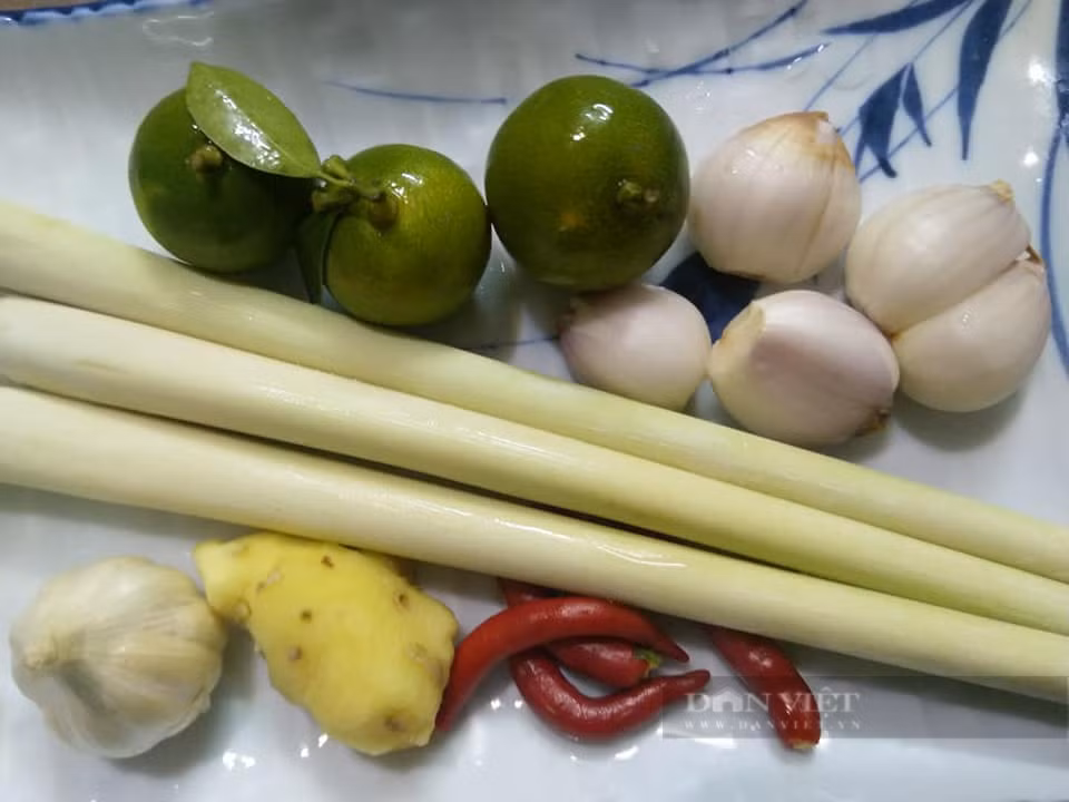 Loai dong vat vo cung than mem, bo xuong, dep da-Hinh-5