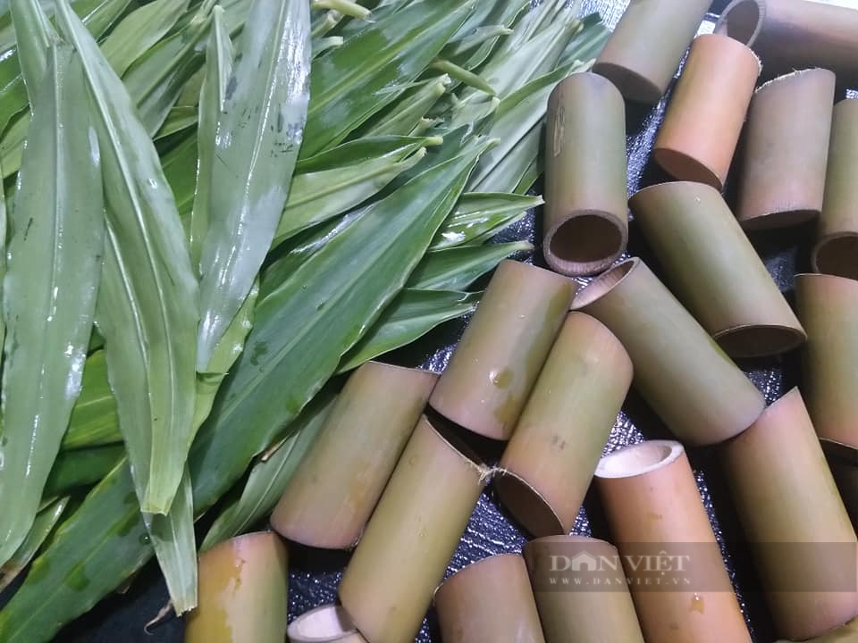 Loai dong vat vo cung than mem, bo xuong, dep da-Hinh-4