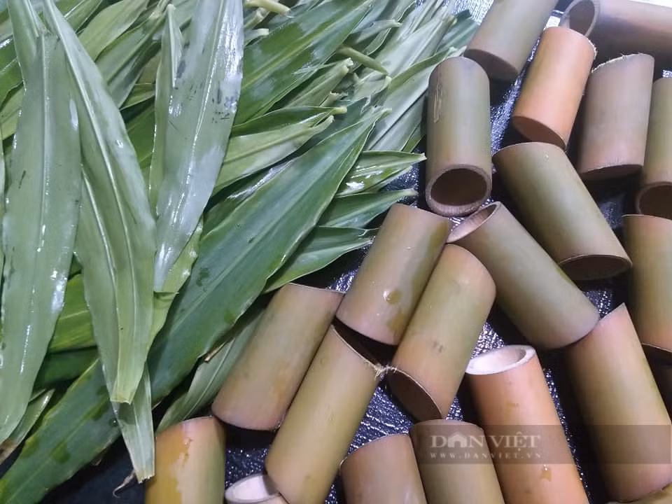 Loai dong vat vo cung than mem, bo xuong, dep da-Hinh-4