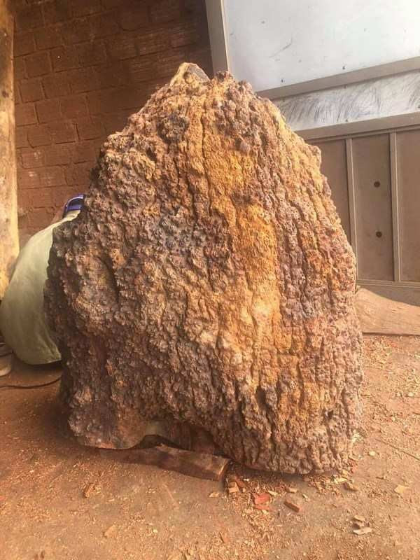 Do đó, một số gỗ nu hương có giá từ vài tỷ cho đến hàng chục tỷ đồng. Những người đam mê gỗ thường dùng gỗ nu hương để chế tác các sản phẩm đồ gỗ mỹ nghệ, tượng gỗ.