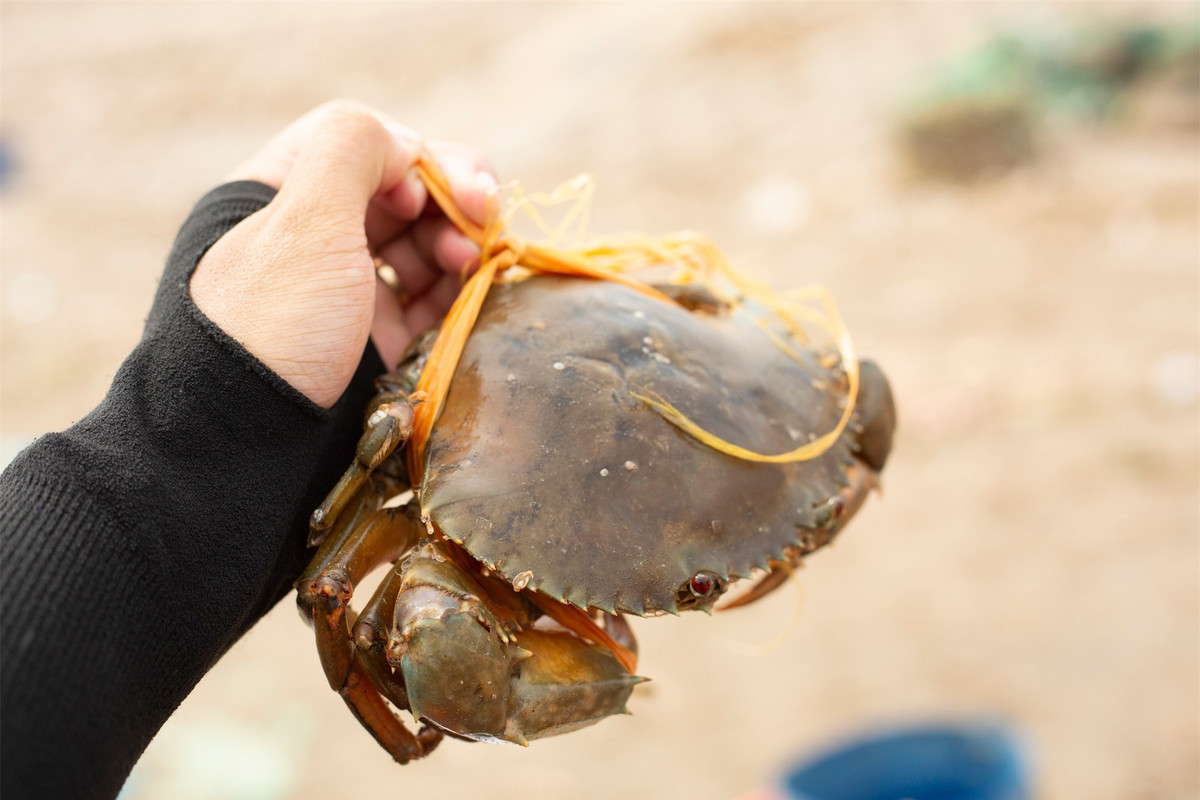 Khám phá vùng đất có cảnh đẹp như phim ảnh 15 Khám phá vùng đất có cảnh đẹp như phim ảnh 15