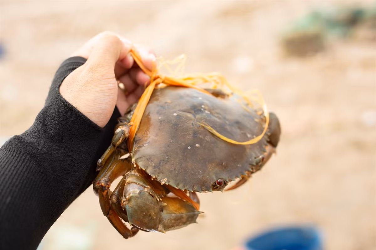 Khám phá vùng đất có cảnh đẹp như phim ảnh 15