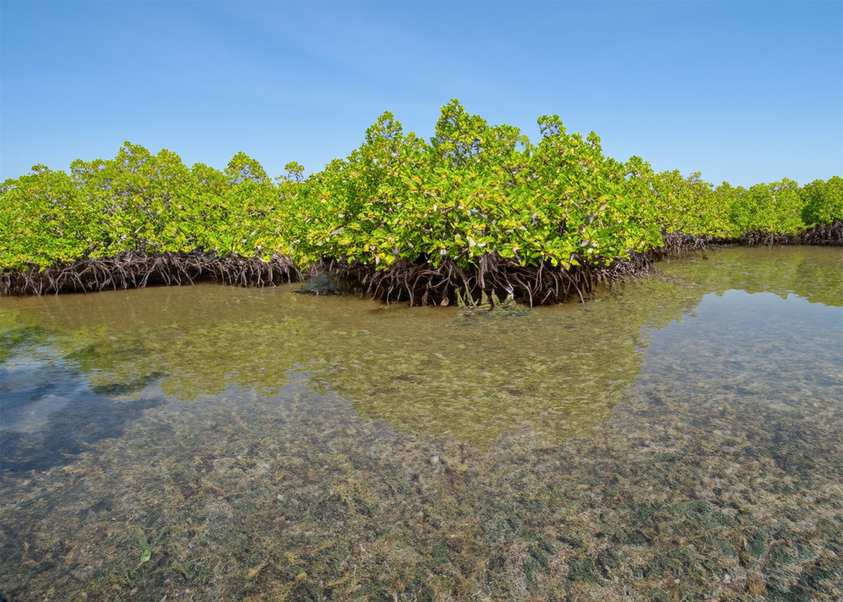 Khám phá vùng đất có cảnh đẹp như phim ảnh 11 Khám phá vùng đất có cảnh đẹp như phim ảnh 11