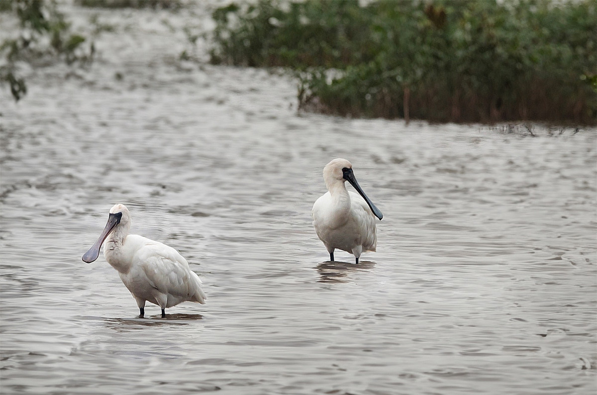Khám phá vùng đất có cảnh đẹp như phim ảnh 5 Khám phá vùng đất có cảnh đẹp như phim ảnh 5