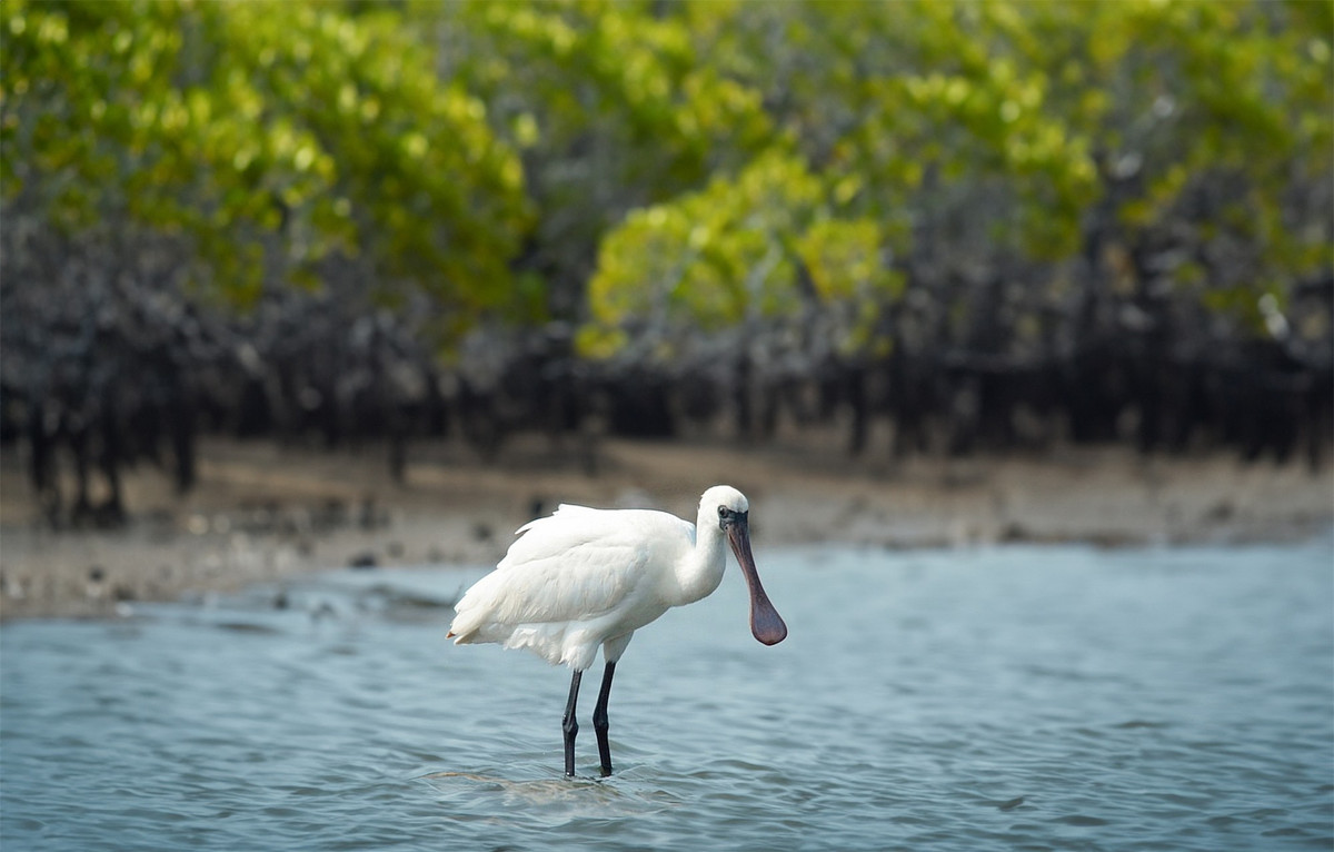 Khám phá vùng đất có cảnh đẹp như phim ảnh 3 Khám phá vùng đất có cảnh đẹp như phim ảnh 3