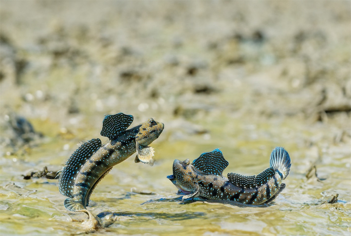 Khám phá vùng đất có cảnh đẹp như phim ảnh 6 Khám phá vùng đất có cảnh đẹp như phim ảnh 6