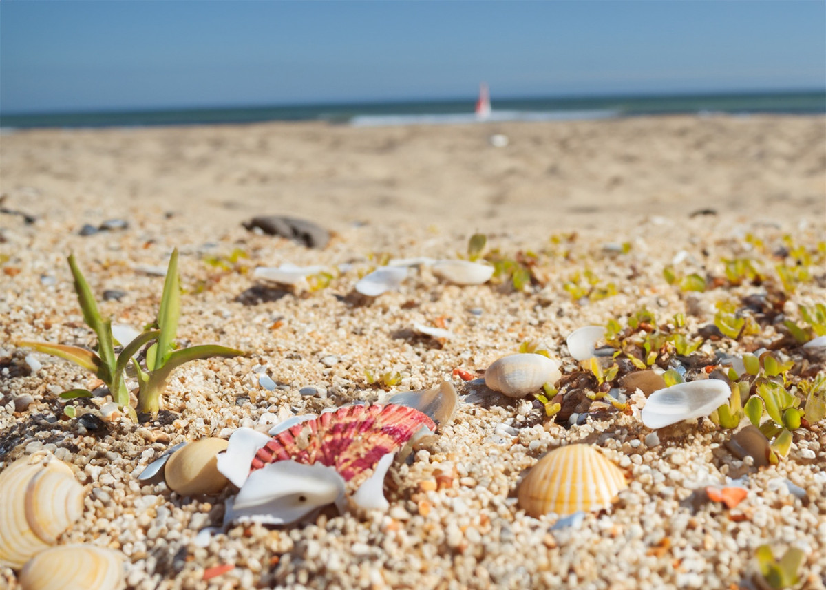 Khám phá vùng đất có cảnh đẹp như phim ảnh 8 Khám phá vùng đất có cảnh đẹp như phim ảnh 8