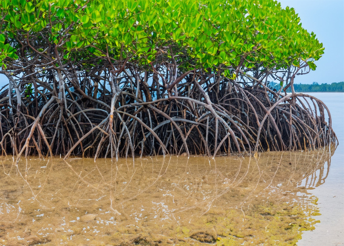 Khám phá vùng đất có cảnh đẹp như phim ảnh 2 Khám phá vùng đất có cảnh đẹp như phim ảnh 2