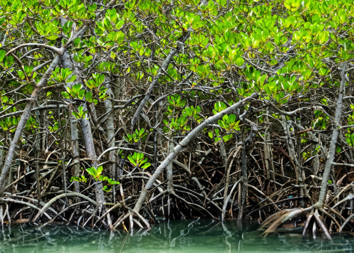 Khám phá vùng đất có cảnh đẹp như phim ảnh 10 Khám phá vùng đất có cảnh đẹp như phim ảnh 10