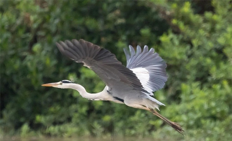 Khám phá vùng đất có cảnh đẹp như phim ảnh 4 Khám phá vùng đất có cảnh đẹp như phim ảnh 4