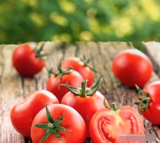 Co meo giai doc gan, an ngay 1 it giai doc gan, bo gan-Hinh-6