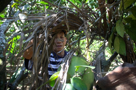 Cac nha vuon Quang Ngai thi nhau mac ao chong nang cho buoi da xanh-Hinh-6