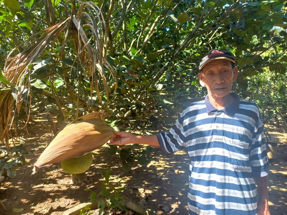 Cac nha vuon Quang Ngai thi nhau mac ao chong nang cho buoi da xanh-Hinh-5