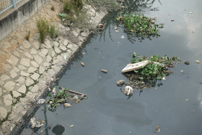 O nhiem tai xuat tren nhung con kenh vua duoc cai tao nghin ty o TPHCM-Hinh-4