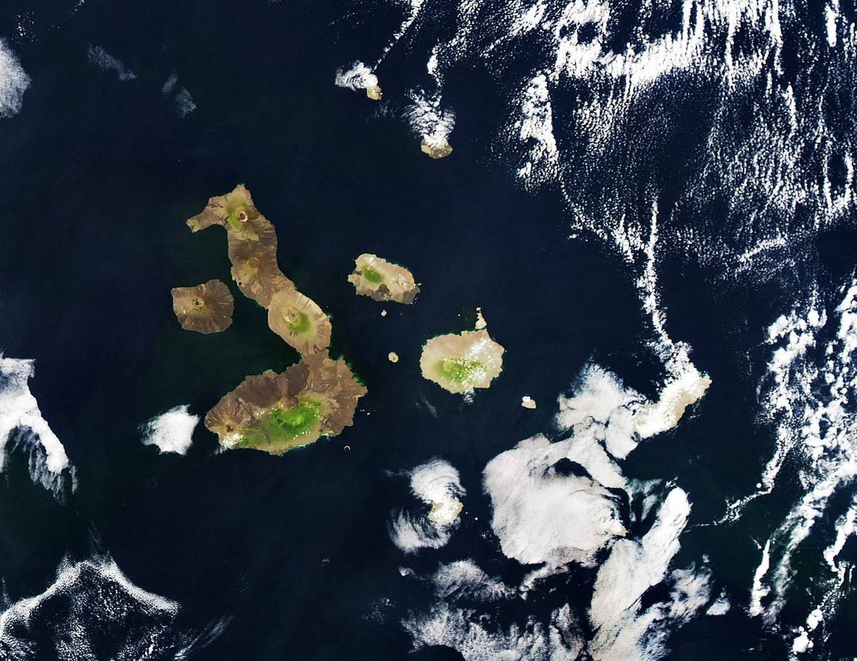  5. Đảo Cá Ngựa (quần đảo Galapagos, Ecuador). Với diện tích 4.640 km2, đảo Isabela là hòn đảo lớn nhất trong quần đảo Galapagos, nơi nổi tiếng với hệ động thực vật đa dạng và độc đáo. Hình dạng giống như cá ngựa của hòn đảo này chỉ có thể được quan sát từ không gian.