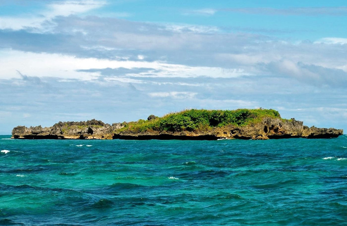  4. Đảo Cá Sấu (Philippines). Philippines là nơi sinh sống của những con cá sấu khổng lồ, và cũng có một hòn đảo trông giống như loài vật này, nằm gần bãi biển nổi tiếng nhất của đất nước, Boracay. Không chỉ có diện mạo ấn tượng, đảo Cá sấu còn là một điểm lặn biển rất nổi tiếng.