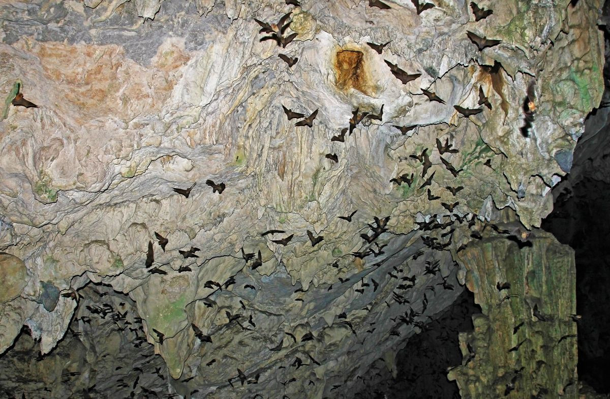  4. Hang động Lanquin. Đây là một mạng lưới rộng lớn các hang động bao quanh thị trấn Lanquin của người Maya ở Q'eqchi'. Những hang động này, được cho là “Trái tim của Thiên đường”, có trần cao gần 15 mét phủ đầy thạch nhũ. Những khu vực tối của hang là nơi ẩn náu của loài dơi.