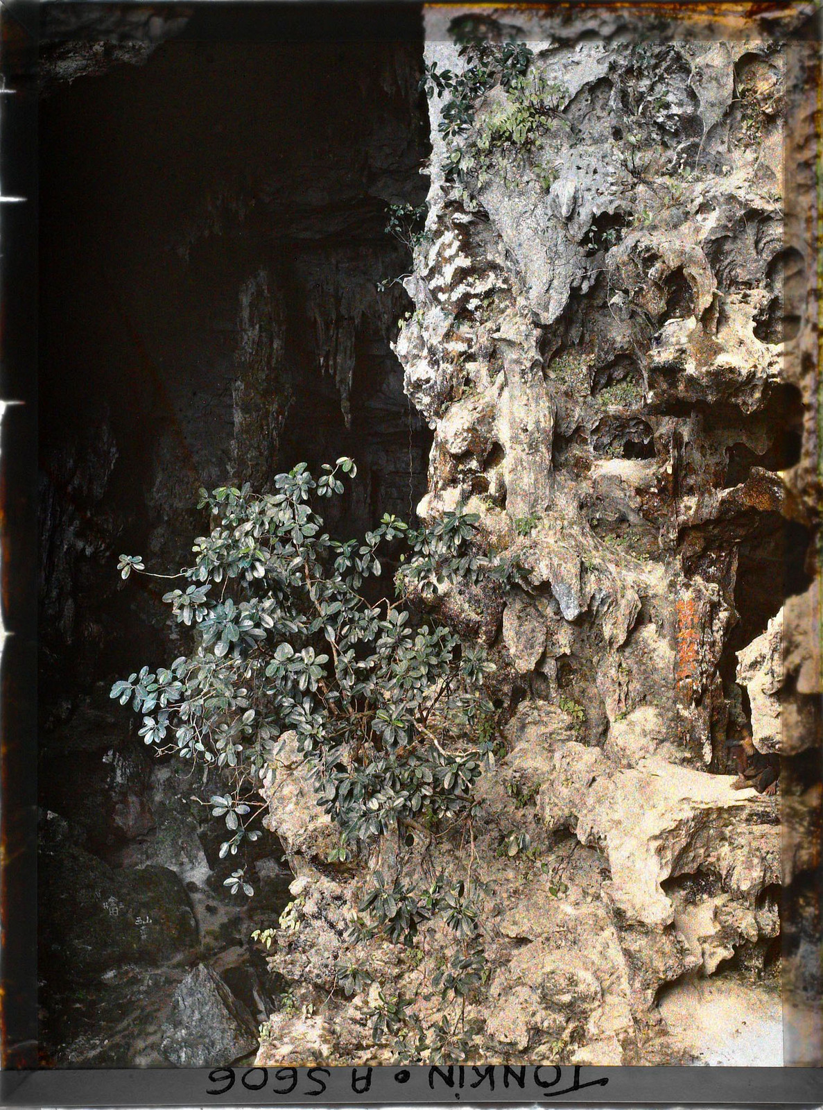 Cảnh tượng trong hang Đầu Gỗ, phía gần cửa hang.