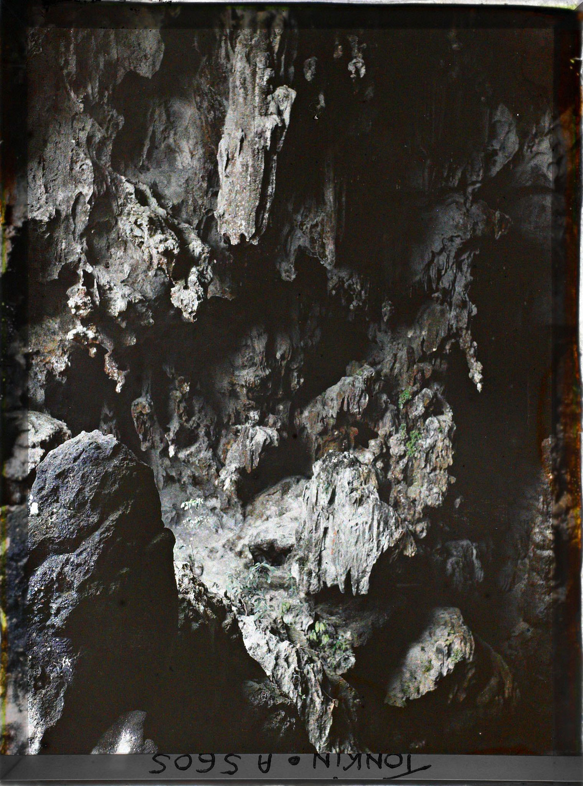 Cảnh tượng trong hang Đầu Gỗ, phía gần cửa hang.