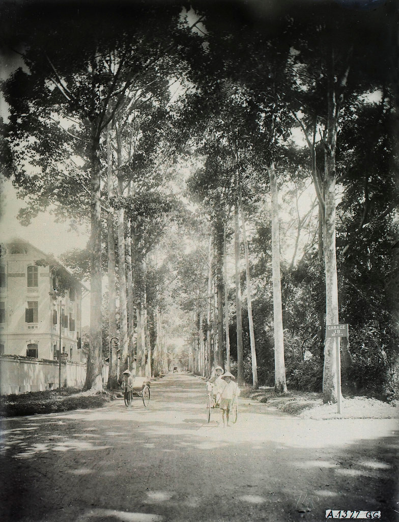 Đường Rousseau thập niên 1920. Bên trái là trường Sư phạm Thực hành, bên phải là Thảo Cầm Viên.