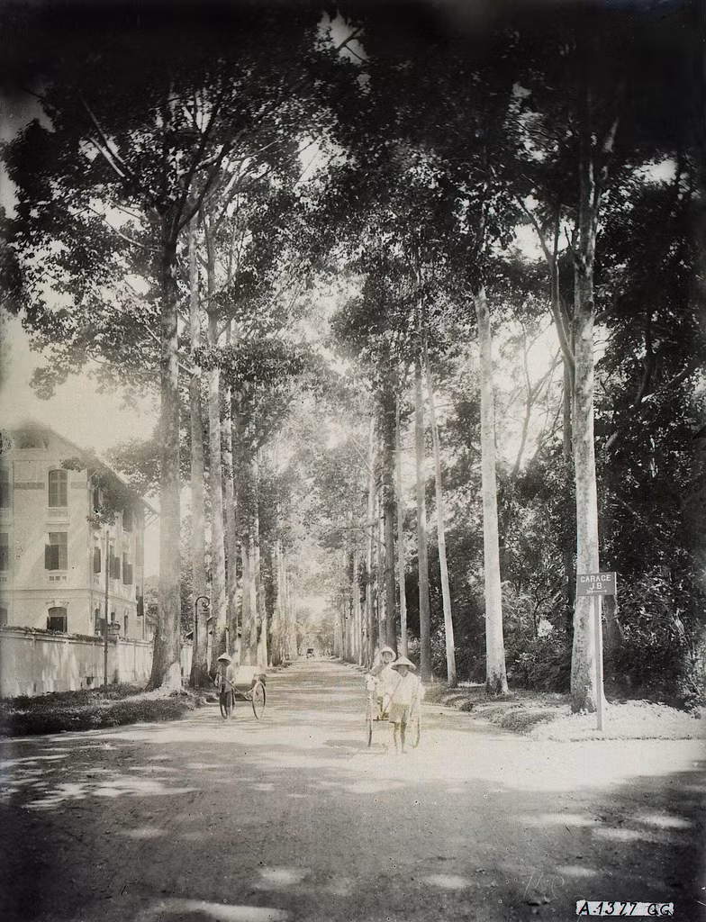 Đường Rousseau thập niên 1920. Bên trái là trường Sư phạm Thực hành, bên phải là Thảo Cầm Viên.