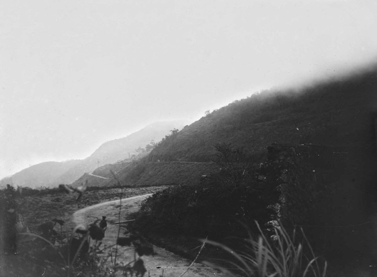 Cung đường mới mở trên đèo Hải Vân.