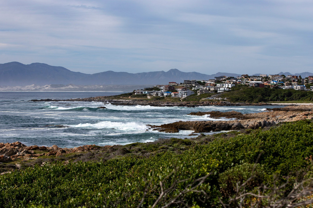 Loai hai san duoc vi nhu “vang trang