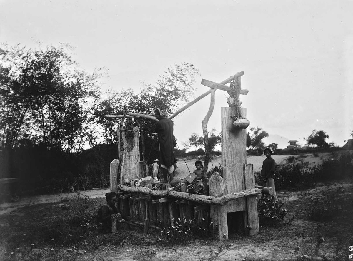 Bẫy cọp ở Hoa Lang.