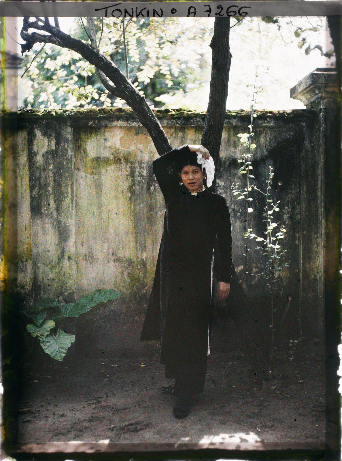 Trong bức này, bà vợ thông dịch viên tạo dáng trước một cái cây.