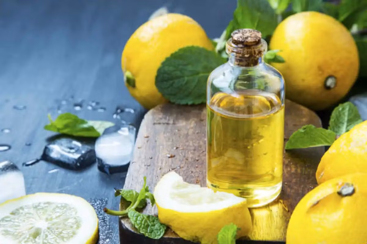 Ngoài ra chúng cũng được dùng làm gia vị, dược liệu, chiết xuất tinh dầu phục vụ ngành công nghiệp thực phẩm hoặc mỹ phẩm.