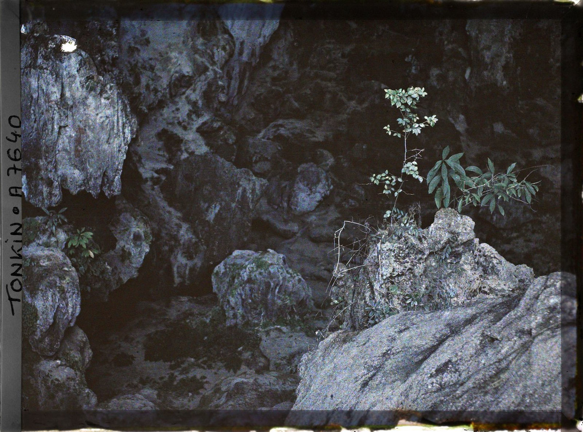 Khung cảnh ở cửa hang Đầu Gỗ, một hang động nổi tiếng ở vịnh Hạ Long.