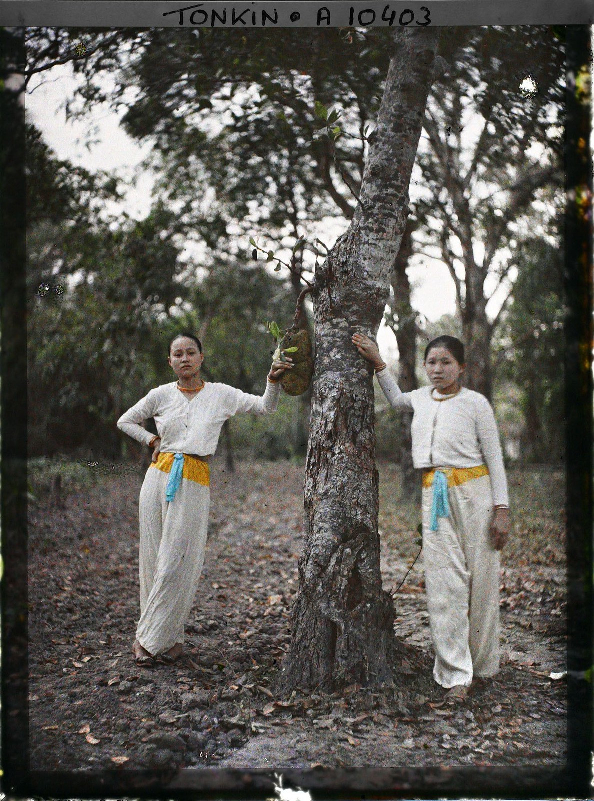 Hai cô gái Sài Gòn mặc đồ trắng, tạo dáng với cây mít, 1921.