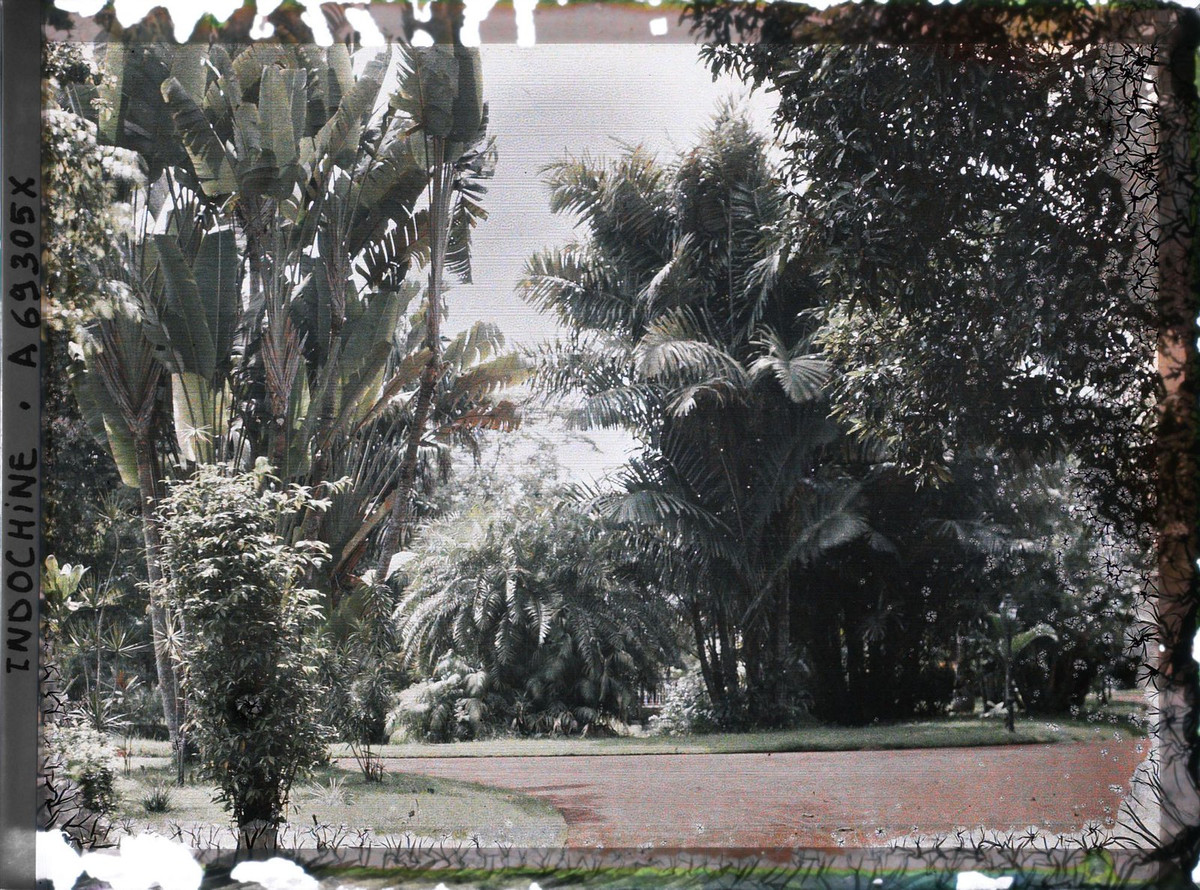 Một góc Thảo Cầm Viên Sài Gòn, 1926-1928.