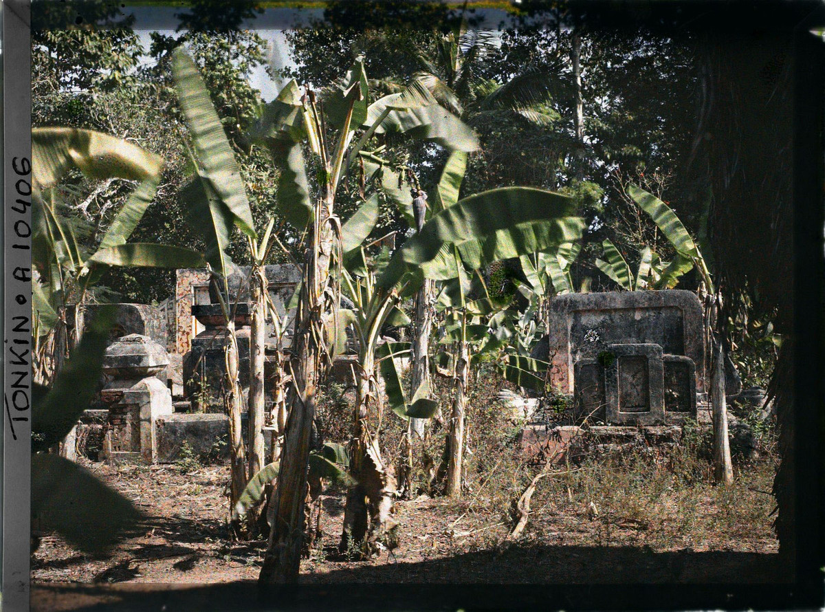 Cỏ cây bao phủ một khu mộ ở Sài Gòn, 1917.