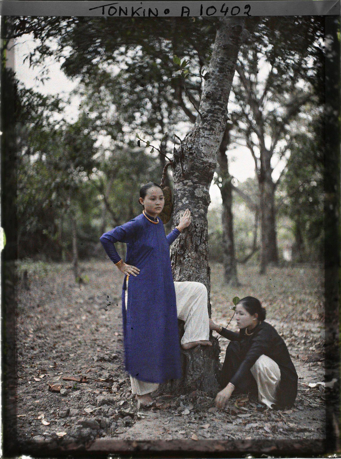 Hai người đẹp chuyển sang mặc áo dài, vẫn bám lấy cây mít, 1921.