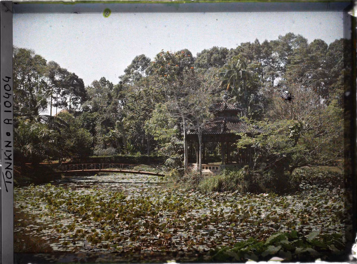 Ao sen trong Thảo Cầm Viên Sài Gòn năm 1917. Ảnh: Léon Busy/ Collections.albert-kahn.hauts-de-seine.fr.