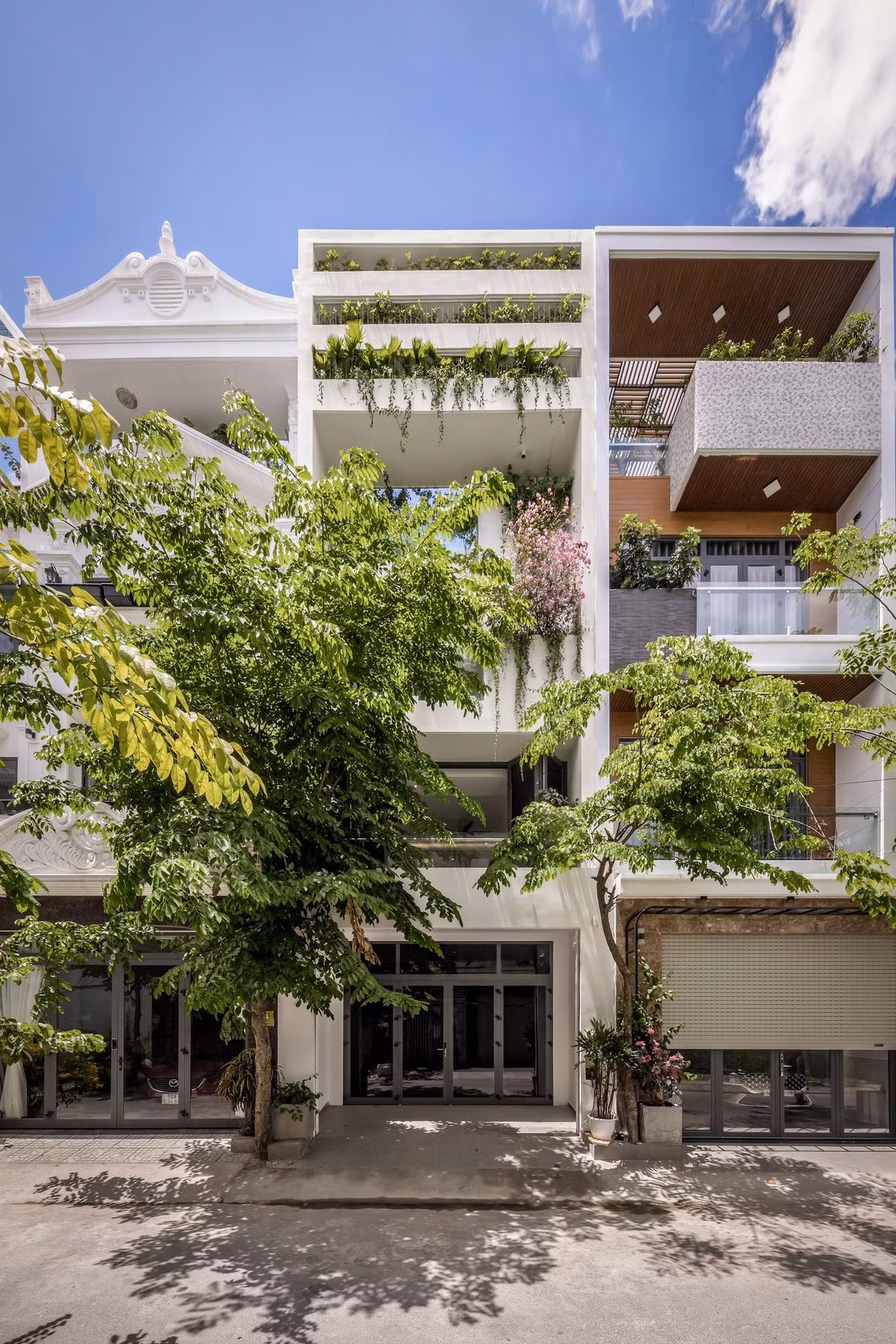 Vuon trong nha pho - ngoi nha cua anh sang, giam hieu ung tieu cuc do thi