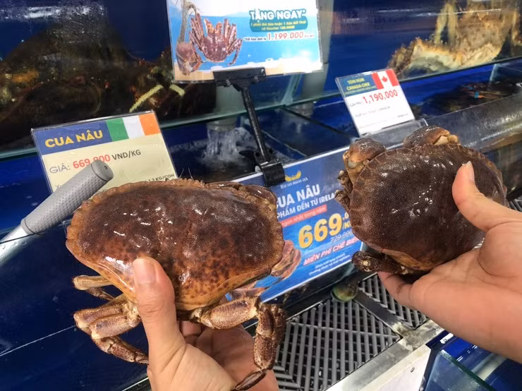 Cua sieu gach tuoi song nhap khau re chua tung co, kem mien phi che bien-Hinh-5