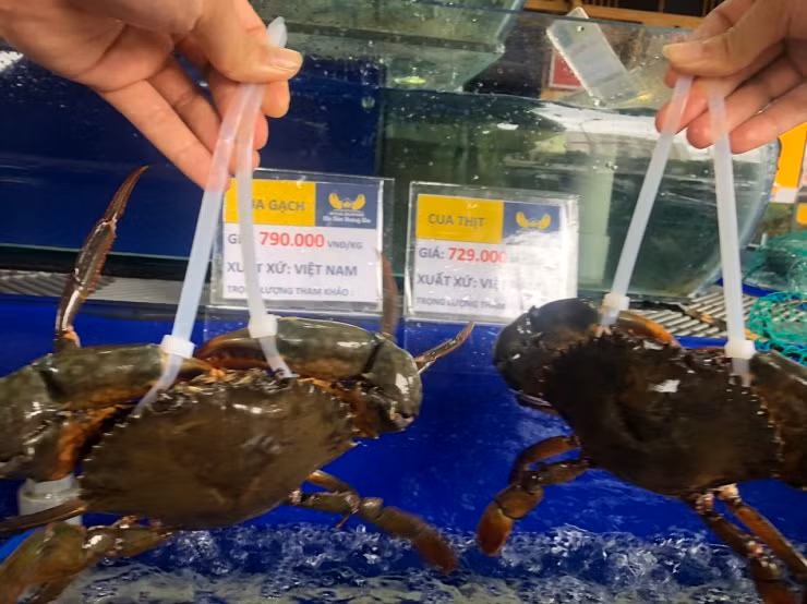 Cua sieu gach tuoi song nhap khau re chua tung co, kem mien phi che bien-Hinh-4