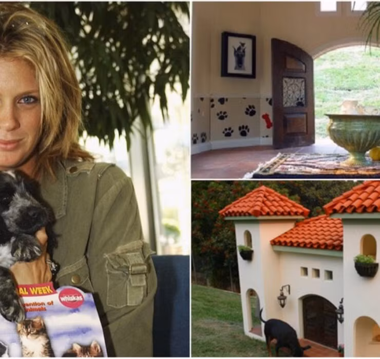 Ngôi biệt thự mang đậm phong cách Mexico này có giá lên đến 30.000 USD (tương đương 690 triệu đồng).