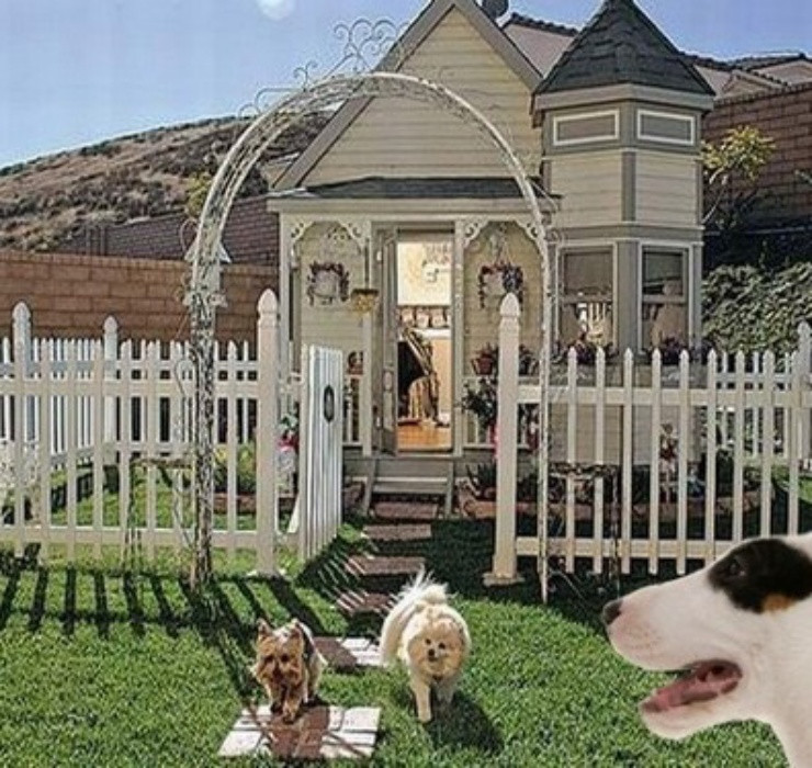 Một dinh thự khác có tên Bauhaus ở Đức cũng từng gây bất ngờ bởi thiết kế vô cùng khoa học, dựa trên kiến trúc cổ điển Đức, dẫu đây chỉ là nhà dành cho… thú cưng.