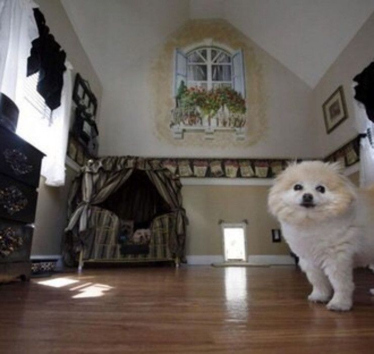 Bên trong căn biệt thự, sàn gỗ được thiết kế bóng loáng và trần nhà được làm theo hình vòm. Rèm cửa được thiết kế với 2 màu trắng đen đối lập nhìn rất phong cách.